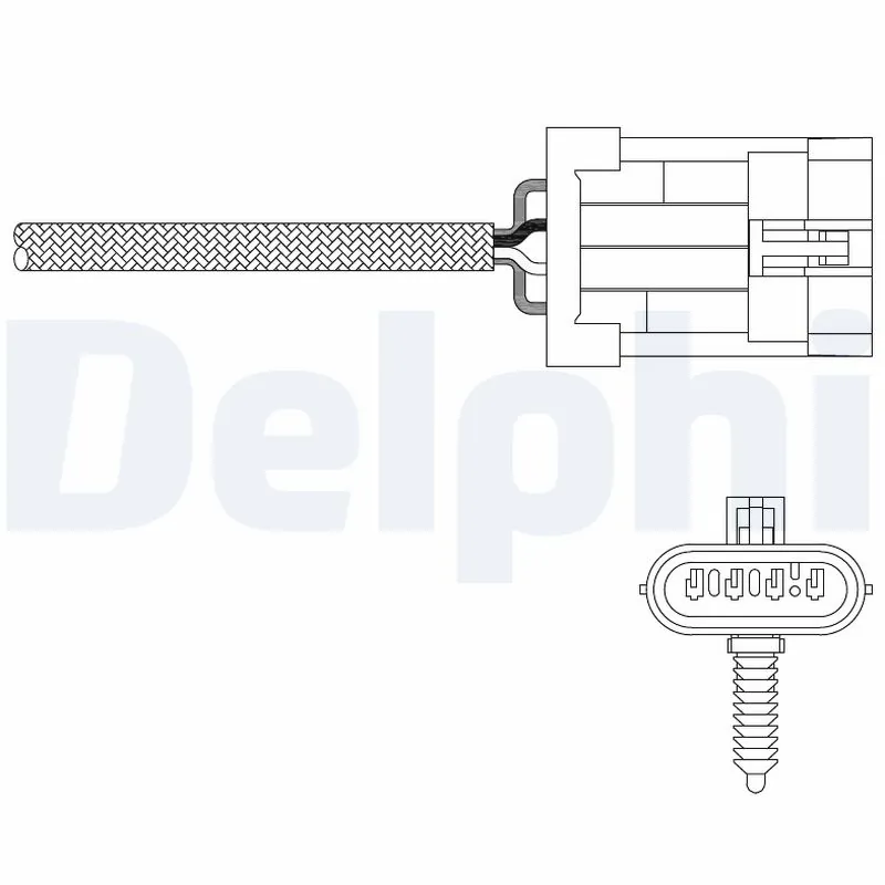 ES2033512B1 Delphi