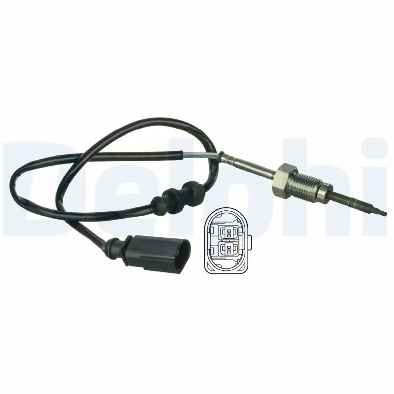 TS30045 Delphi