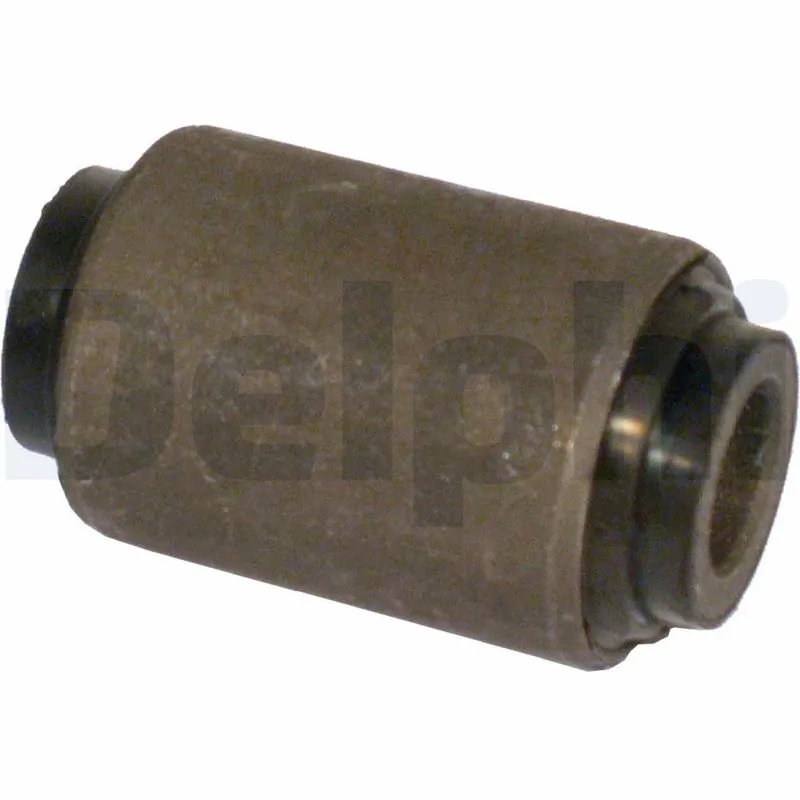 TD509W Delphi