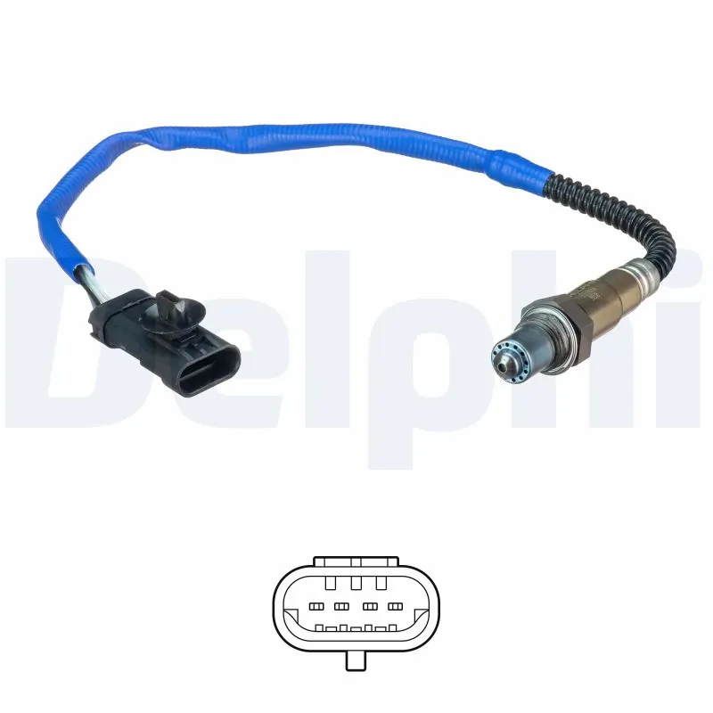 ES2065612B1 Delphi