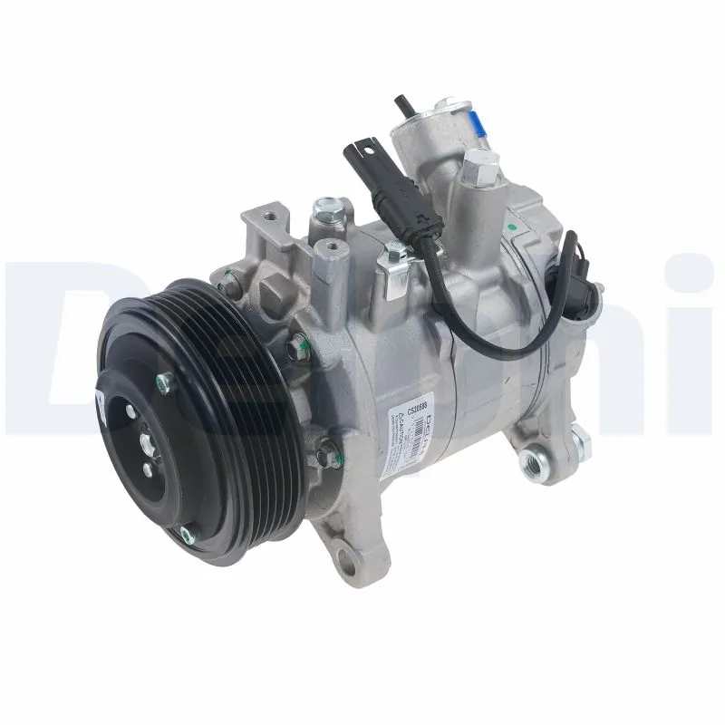 CS20588 Delphi