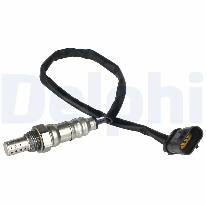 ES2031112B1 Delphi