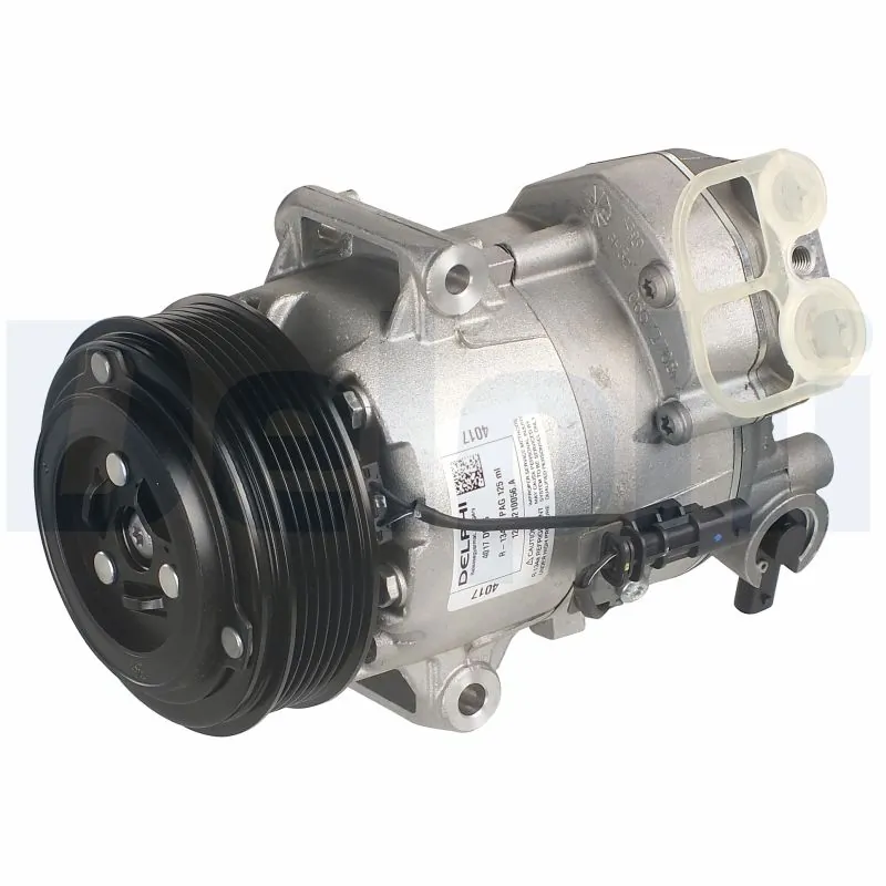 TSP0155987 Delphi