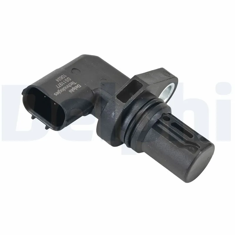 SS1197712B1 Delphi