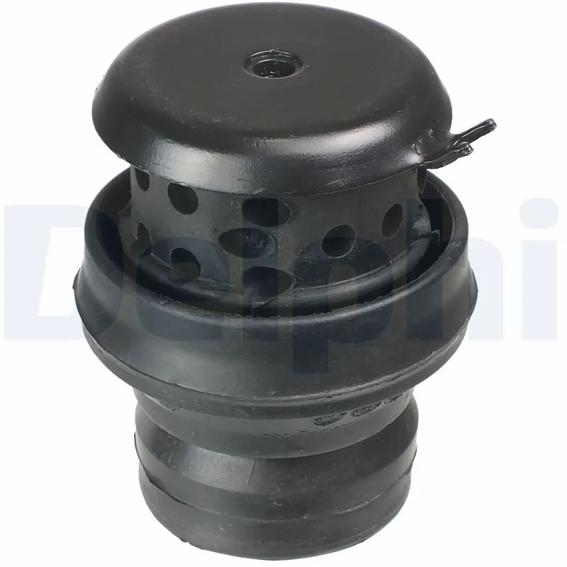 TEM058 Delphi