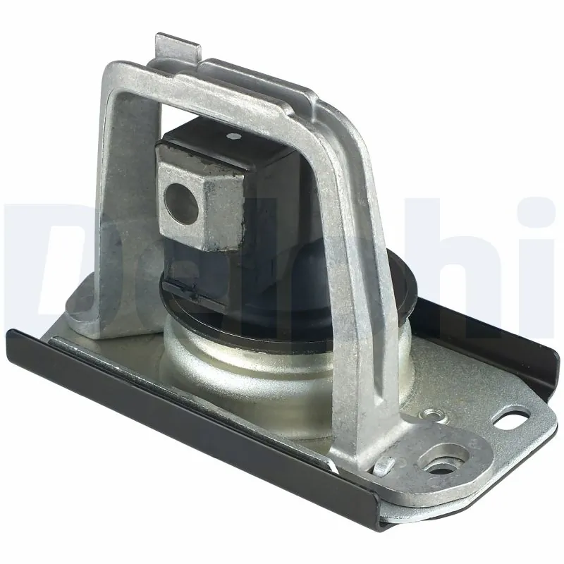 TEM043 Delphi