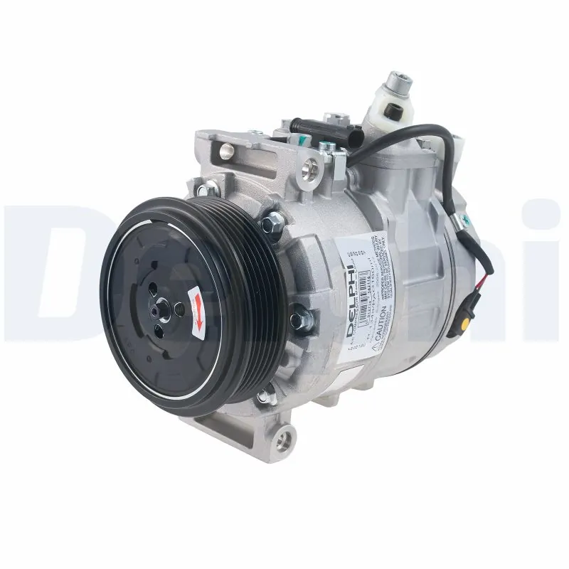 CS20587 Delphi