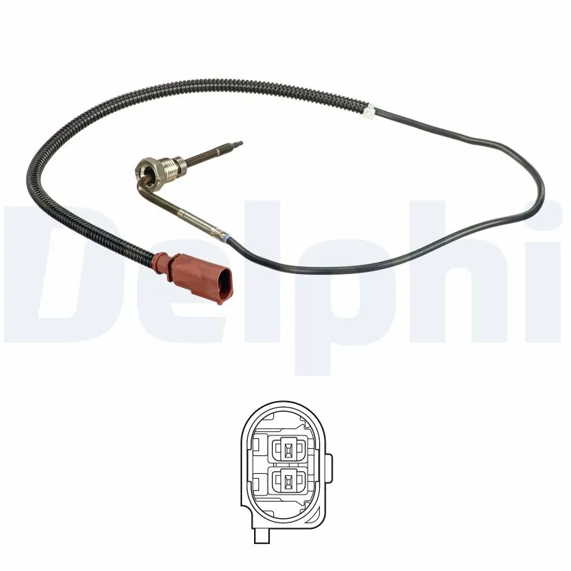 TS30160 Delphi
