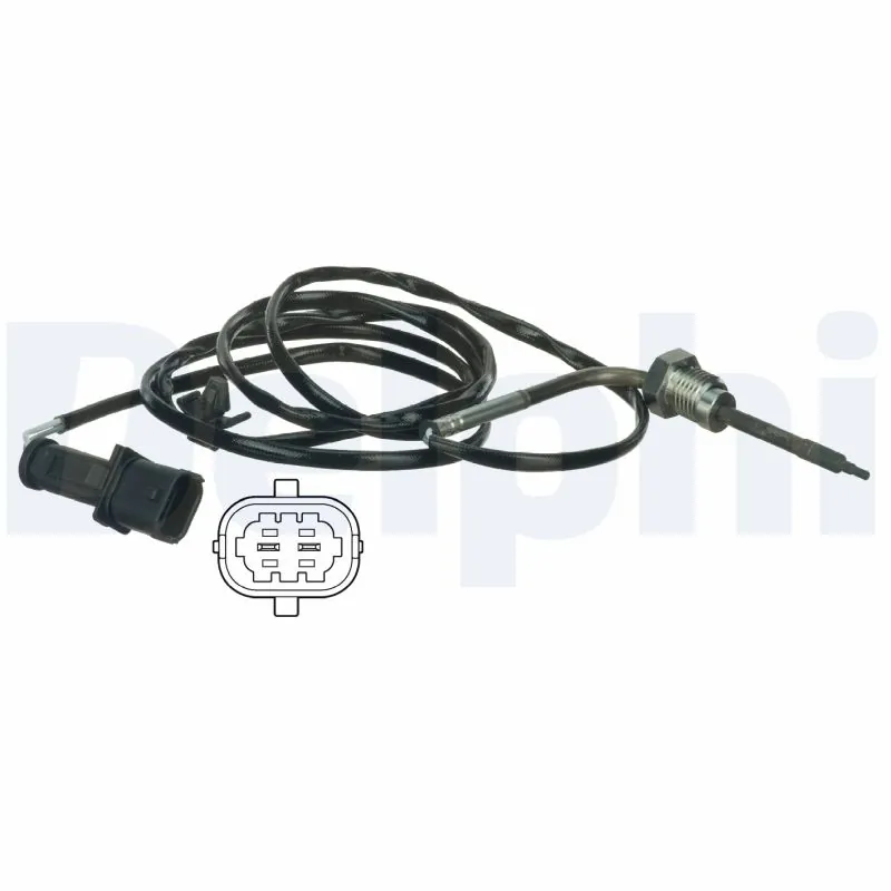 TS30063 Delphi