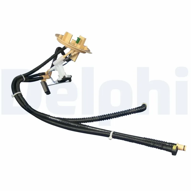 FL029912B1 Delphi