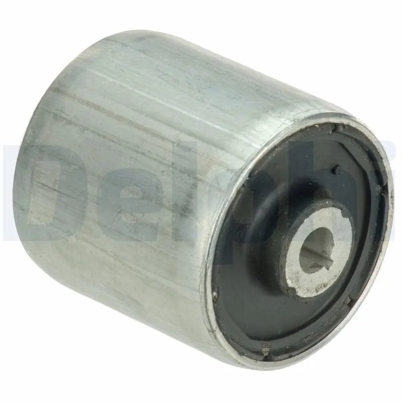 TD1638W Delphi