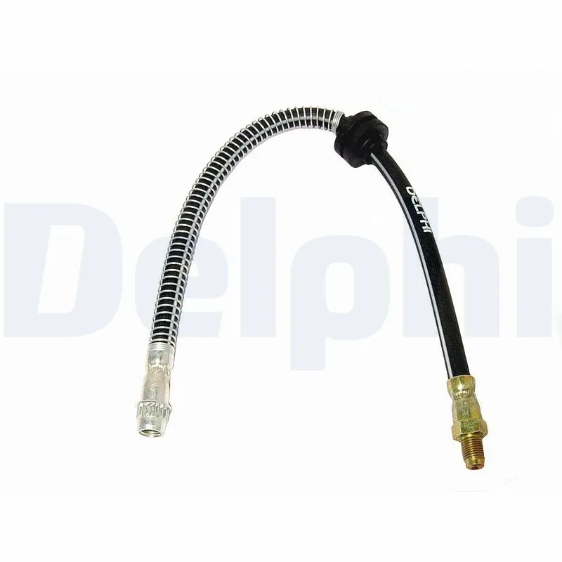 LH6319 Delphi