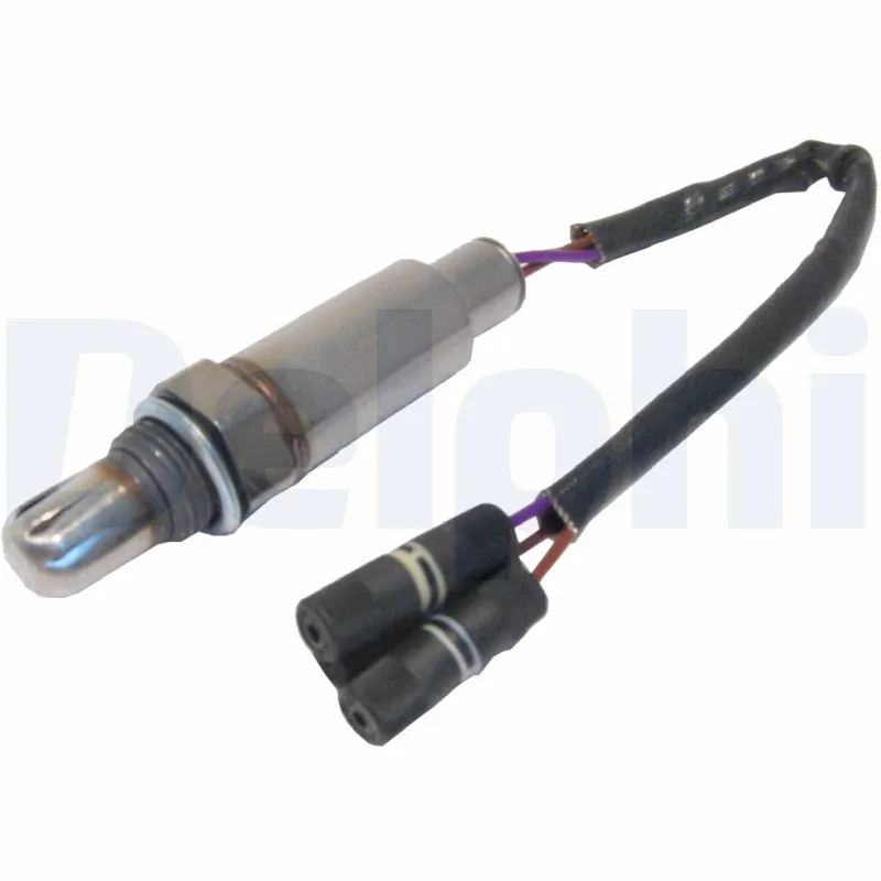 ES1076212B1 Delphi