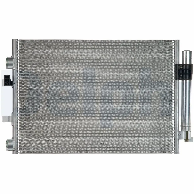 CF20217 Delphi