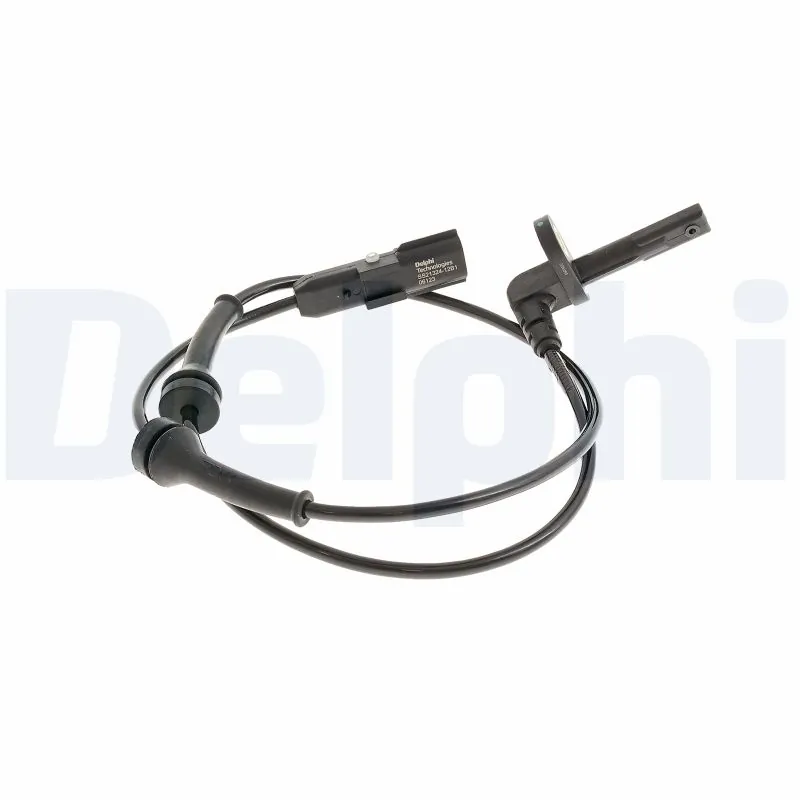 SS2132412B1 Delphi