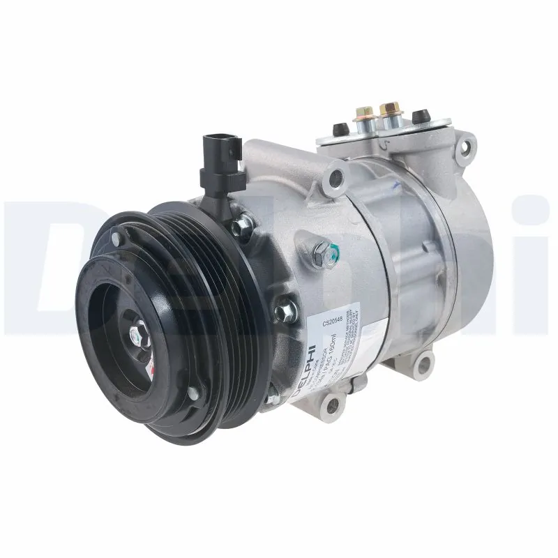 CS20548 Delphi