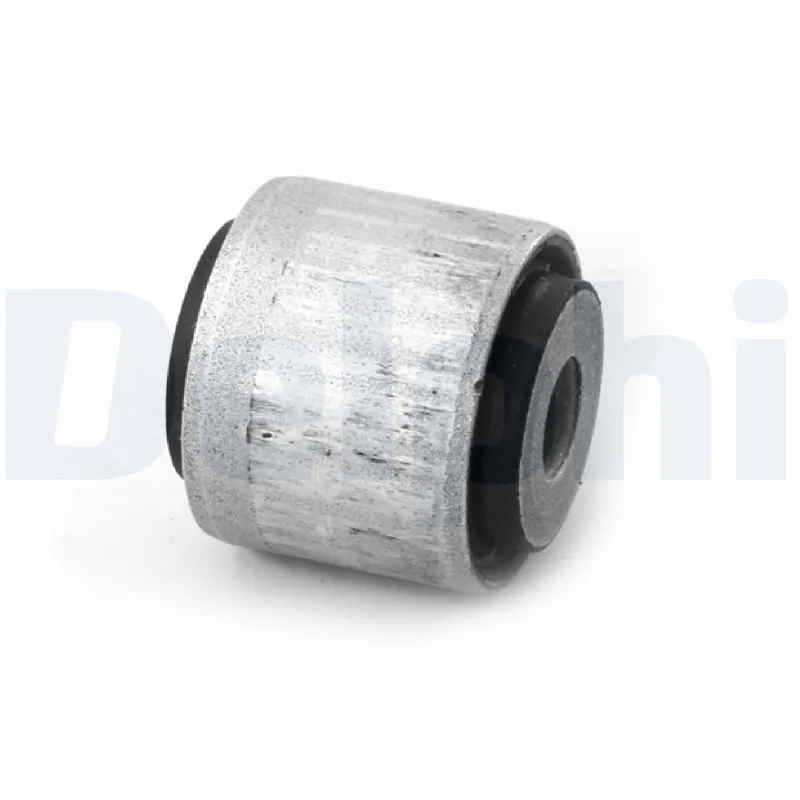 TD1731W Delphi