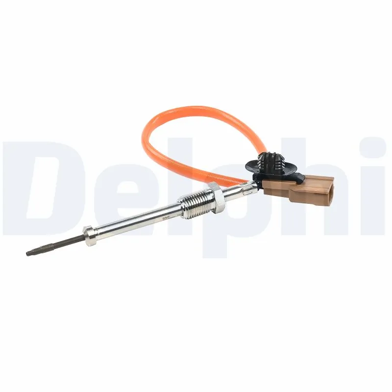 TS3011612B1 Delphi