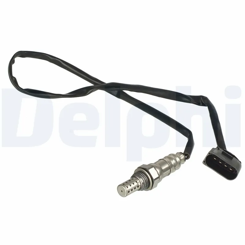 ES2034212B1 Delphi