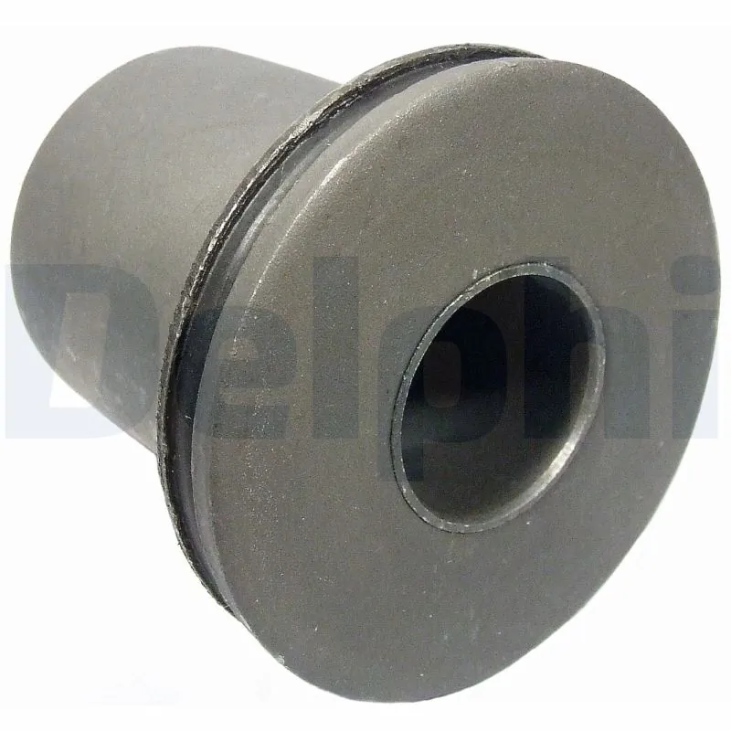 TD697W Delphi