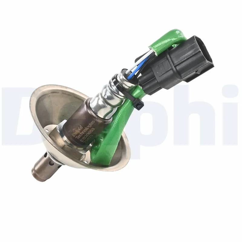 ES2065312B1 Delphi
