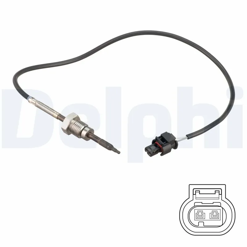 TS30257 Delphi