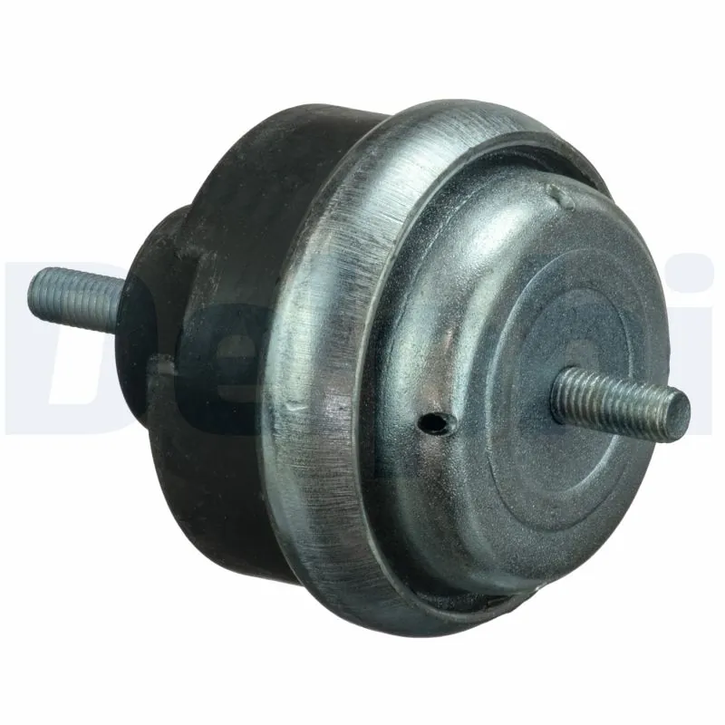 TEM066 Delphi