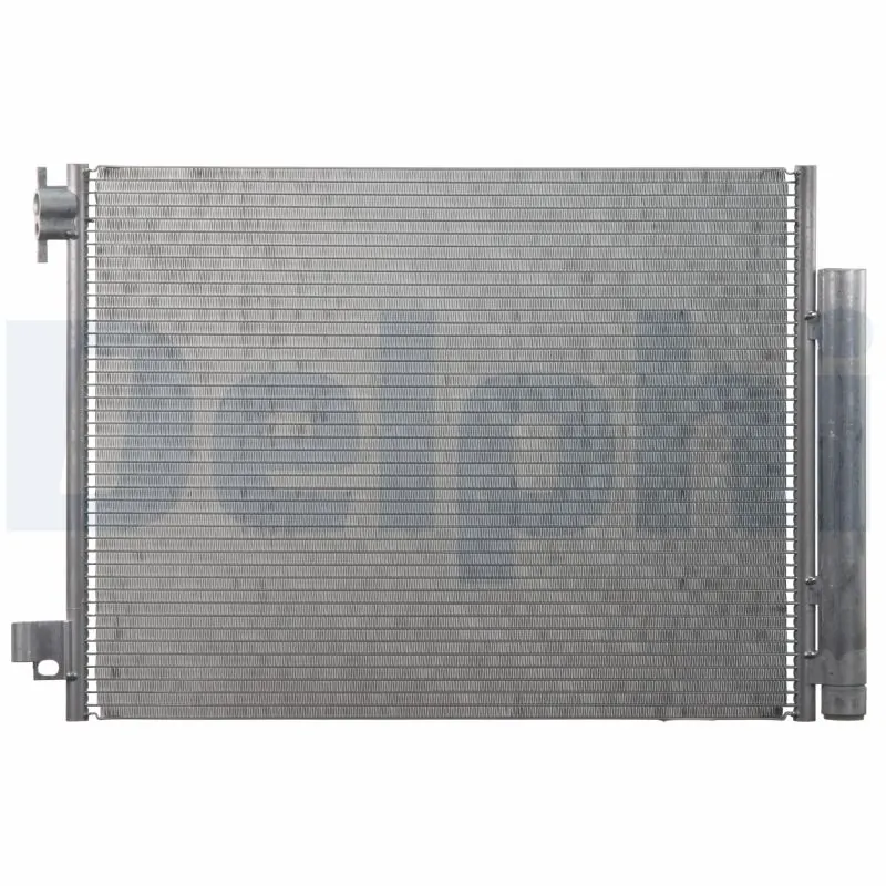 CF20292 Delphi