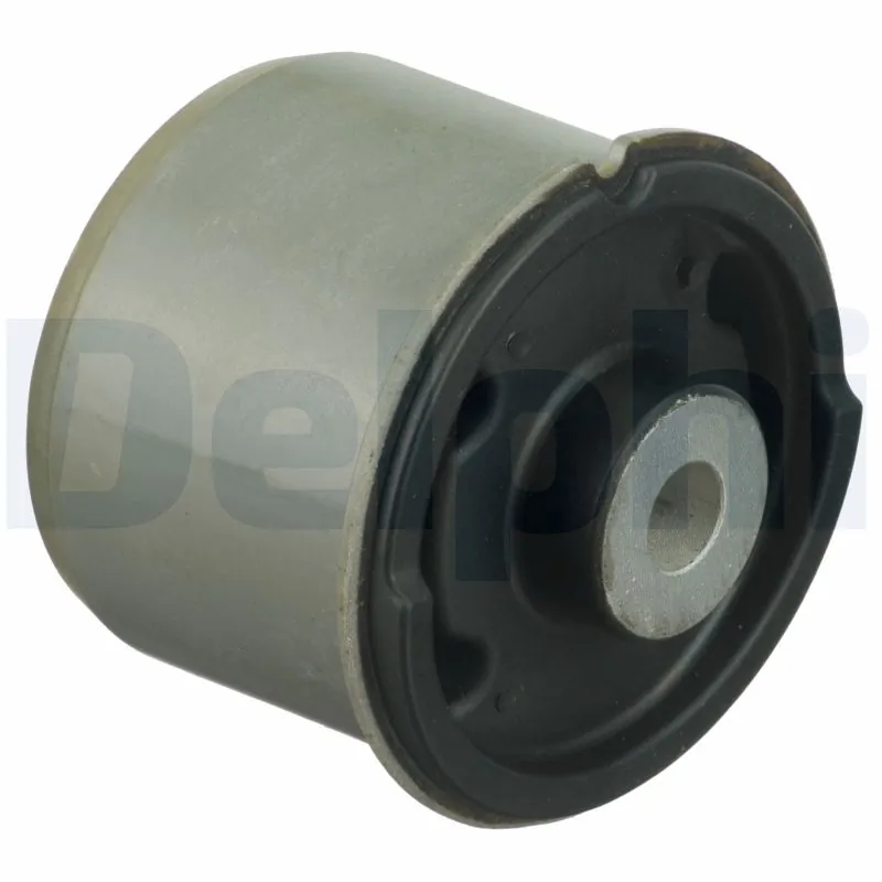 TD1629W Delphi