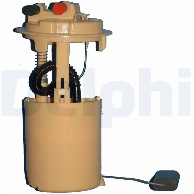 FG101812B1 Delphi