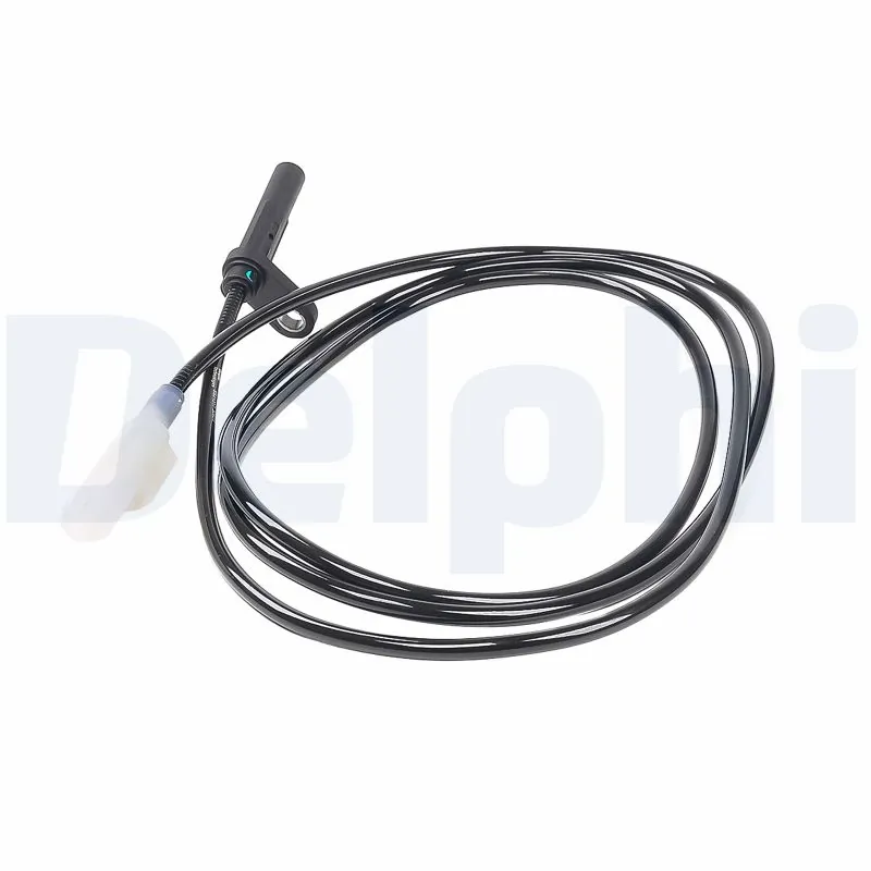 SS2131712B1 Delphi