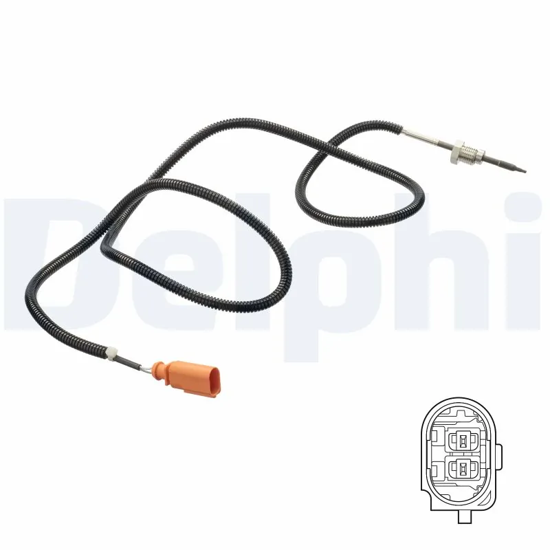 TS30181 Delphi