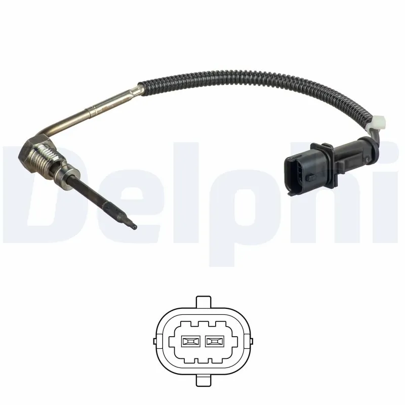 TS30186 Delphi