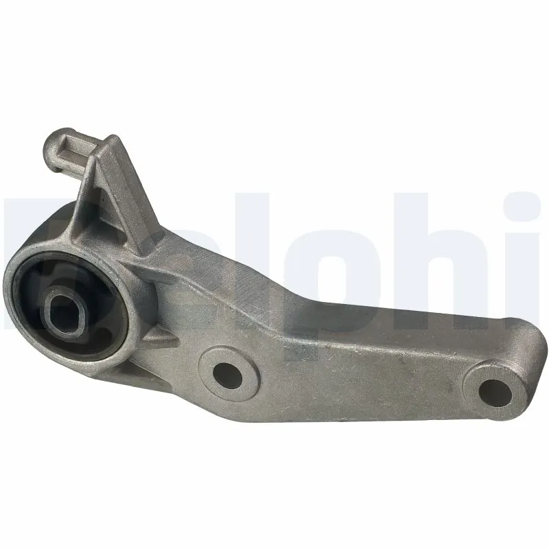 TEM055 Delphi