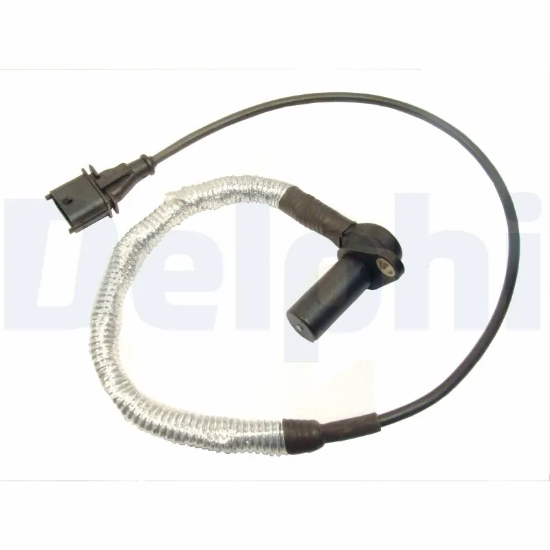SS10809 Delphi