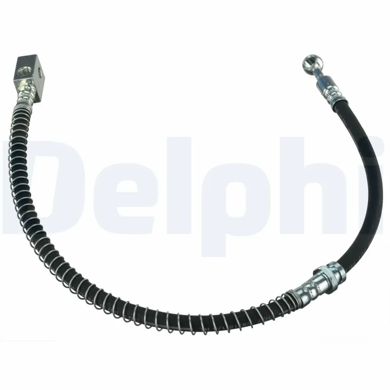 LH7209 Delphi