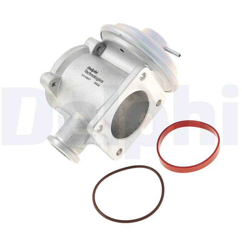 EG1065712B1 Delphi