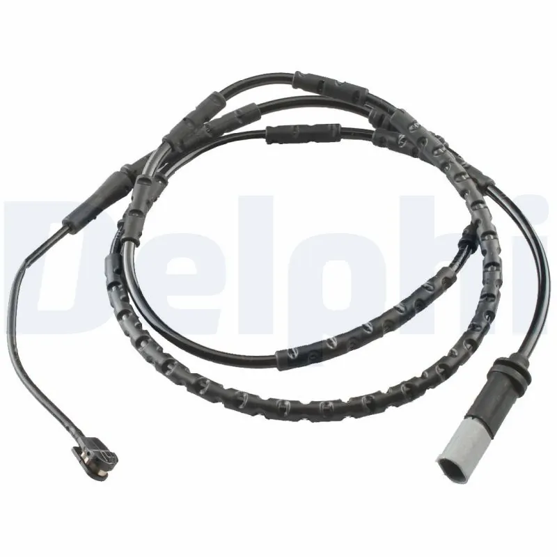 LZ0224 Delphi