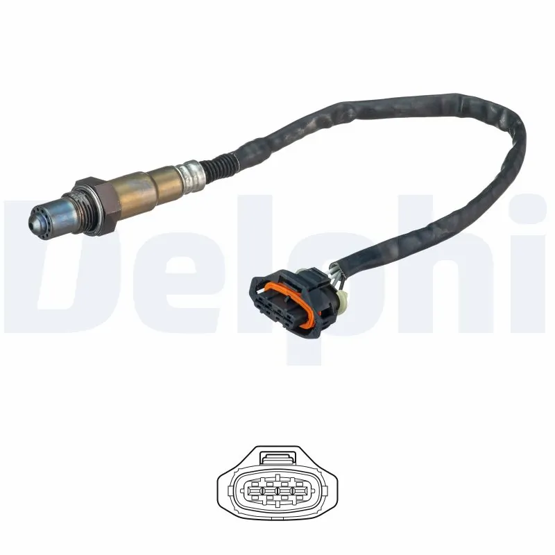 ES2063612B1 Delphi