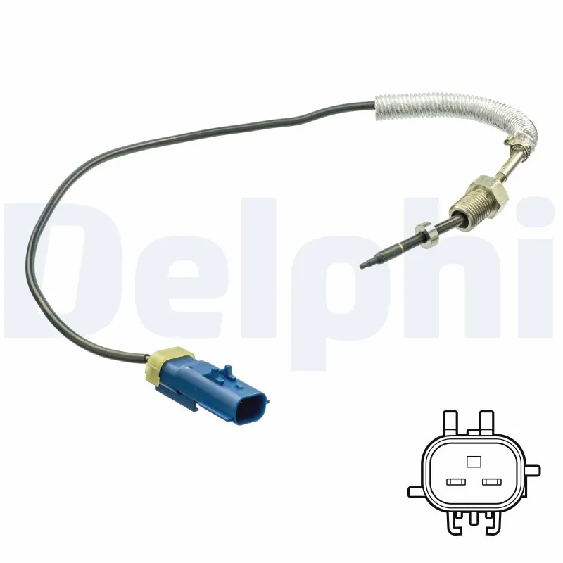 TS30191 Delphi
