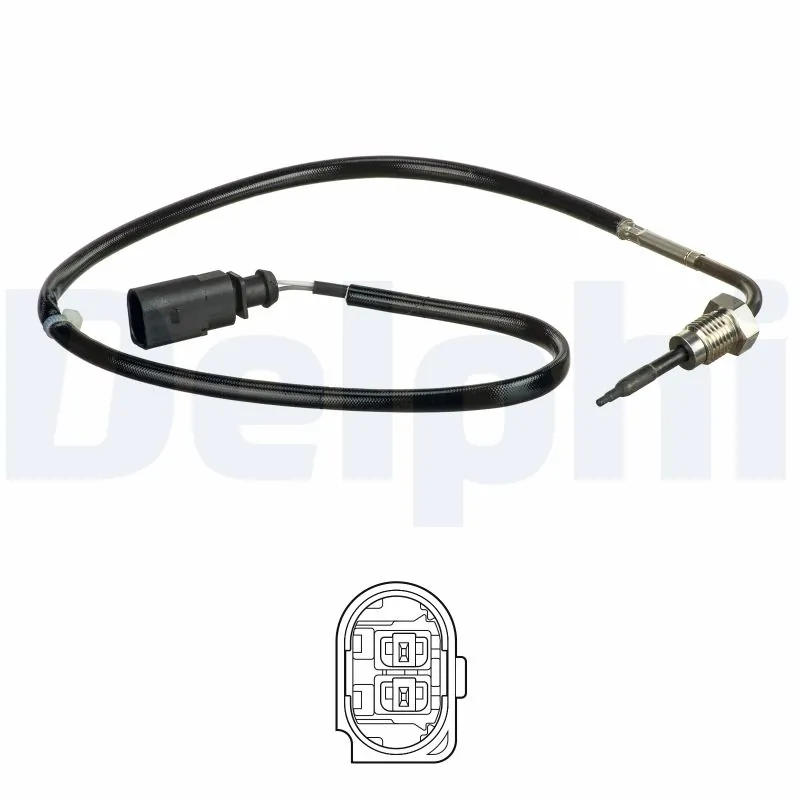 TS30156 Delphi