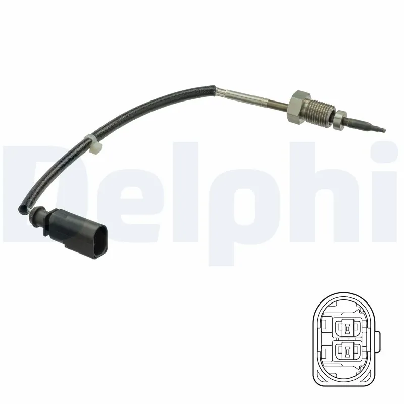 TS30251 Delphi