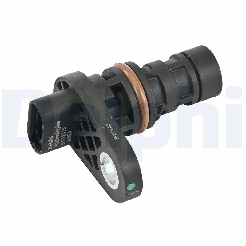 SS1237512B1 Delphi