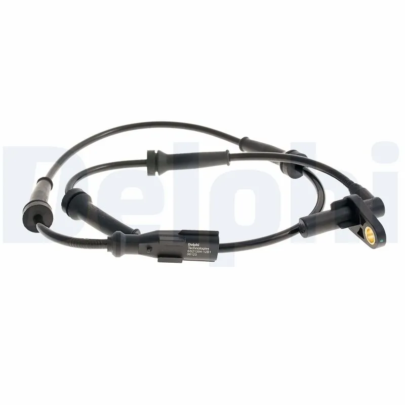 SS2135412B1 Delphi