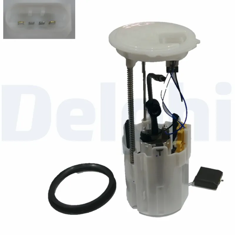 FG204312B1 Delphi