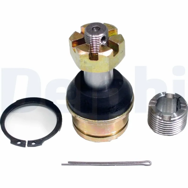 TC2061 Delphi