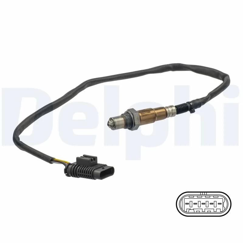 ES2119912B1 Delphi