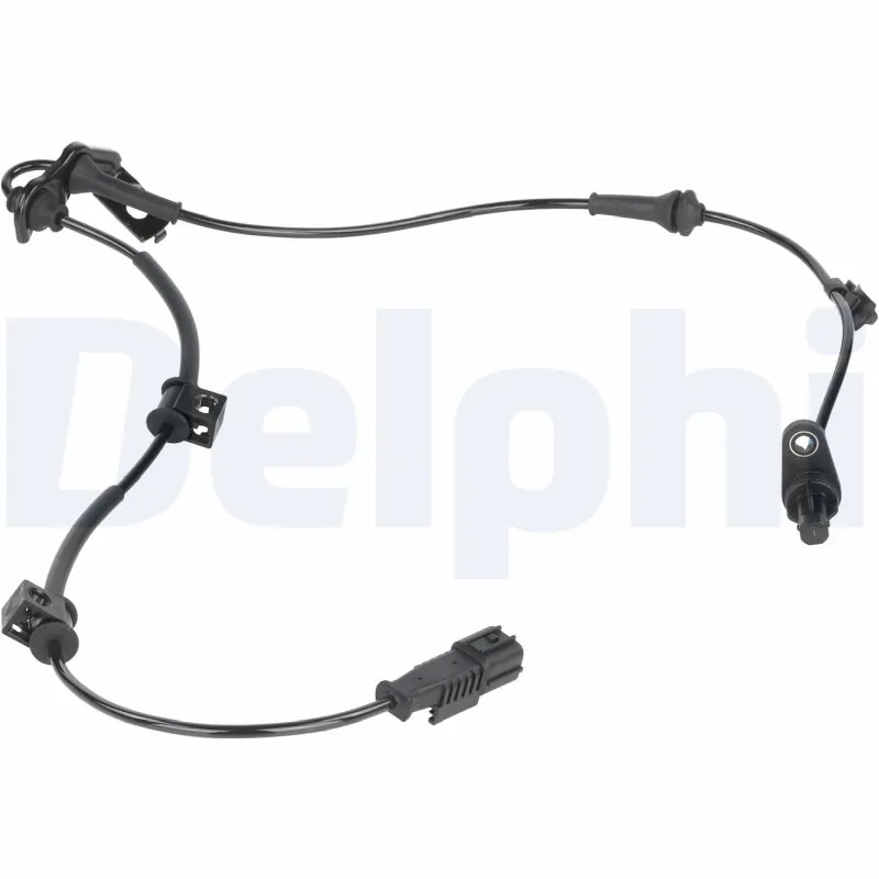 SS2133212B1 Delphi