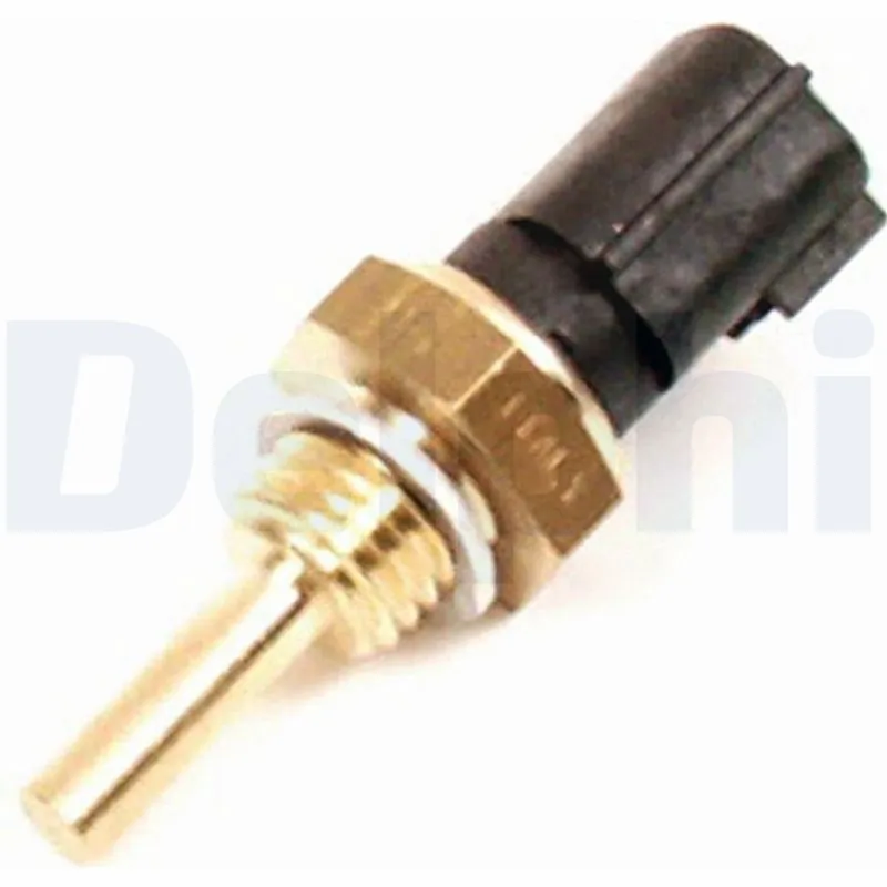 TS1006411B1 Delphi