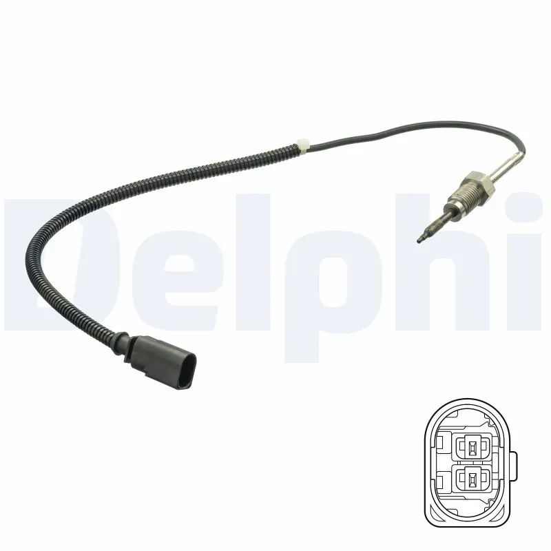 TS30172 Delphi